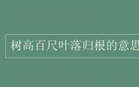 教育动态信息：树高百尺叶落归根的意思