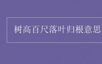 教育动态信息：树高百尺落叶归根意思