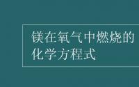 教育动态信息：镁在氧气中燃烧的化学方程式