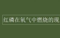 教育动态信息：红磷在氧气中燃烧的现象