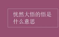 教育动态信息：恍然大悟的悟是什么意思