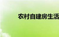 农村自建房生活解剖 你期待吗？