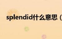 splendid什么意思（splendid双语例句）