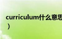 curriculum什么意思（curriculum双语例句）