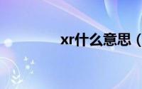 xr什么意思（xr双语例句）