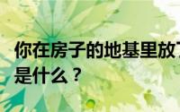 你在房子的地基里放了什么？基础风水的重点是什么？