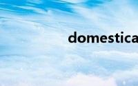 domestically双语例句