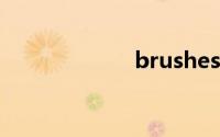 brushes双语例句