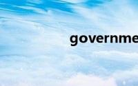 government双语例句