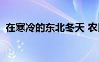 在寒冷的东北冬天 农民如何保持房屋温暖？