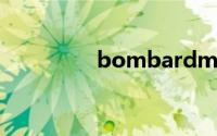 bombardment双语例句