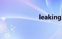 leaking双语例句