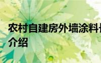 农村自建房外墙涂料长斑解决方案及维修妙招介绍