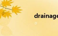 drainage双语例句