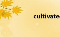 cultivated双语例句