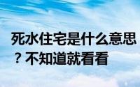 死水住宅是什么意思？它的优点和缺点是什么？不知道就看看