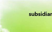 subsidiary双语例句