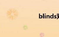 blinds双语例句