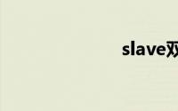 slave双语例句