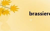 brassiere双语例句