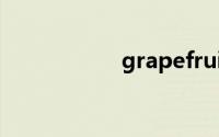 grapefruit双语例句