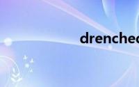 drenched双语例句