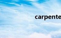 carpenter双语例句