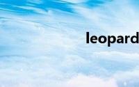 leopard双语例句