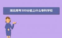 2022年湖北高考300分能上什么专科学校 湖北300分可以报的大学