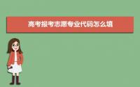 高考报考志愿专业代码怎么填 高考志愿专业代码是什么意思