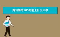 2022湖北高考205分能上什么大学,高考205分左右可以上的学校有哪些