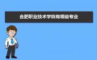 合肥职业技术学院有哪些专业,比较好的王牌重点特色专业