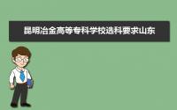 昆明冶金高等专科学校选科要求山东,2022昆明冶金高等专科学校在山东选科要求对照表