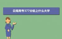 2022云南高考377分能上什么大学,高考377分左右可以上的学校有哪些