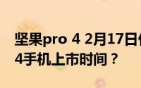 坚果pro 4 2月17日什么时候发布？坚果pro4手机上市时间？