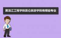 黑龙江工程学院昆仑旅游学院有哪些专业,比较好的王牌重点特色专业