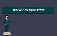 2022年山东500分左右能去的大学