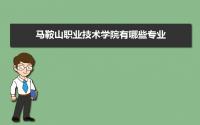 马鞍山职业技术学院有哪些专业,比较好的王牌重点特色专业