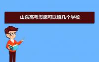 山东高考志愿可以填几个学校2022,附具体填报规则方案