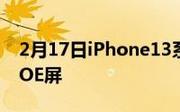 2月17日iPhone13系列最新消息 或将采用BOE屏