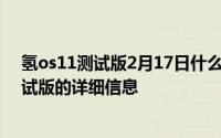 氢os11测试版2月17日什么时候发布？更新氢os11公开测试版的详细信息