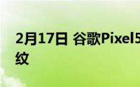 2月17日 谷歌Pixel5真机曝光:单孔屏后置指纹