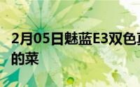 2月05日魅蓝E3双色真机惊现网络：哪款是你的菜