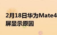 2月18日华为Mate40开放面积大？还是瀑布屏显示原因