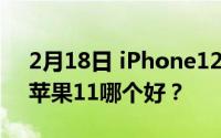 2月18日 iPhone12和iPhone11 苹果12和苹果11哪个好？