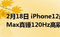 2月18日 iPhone12最新消息 iPhone12ProMax真锤120Hz高刷