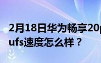 2月18日华为畅享20plus的闪存规格是多少？ufs速度怎么样？