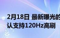 2月18日 最新曝光的iPhone12ProMax :确认支持120Hz高刷