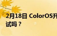 2月18日 ColorOS升级公测限量招募 你想试试吗？