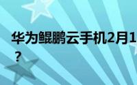 华为鲲鹏云手机2月18日意味着什么？怎么用？